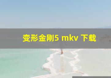 变形金刚5 mkv 下载